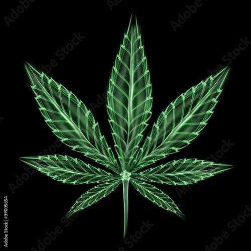 Cannabis leaf