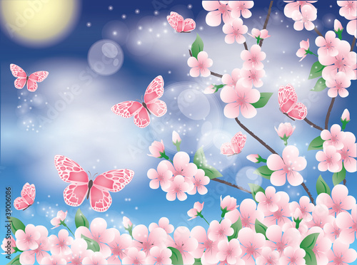 Spring card with sakura and butterfly, vector