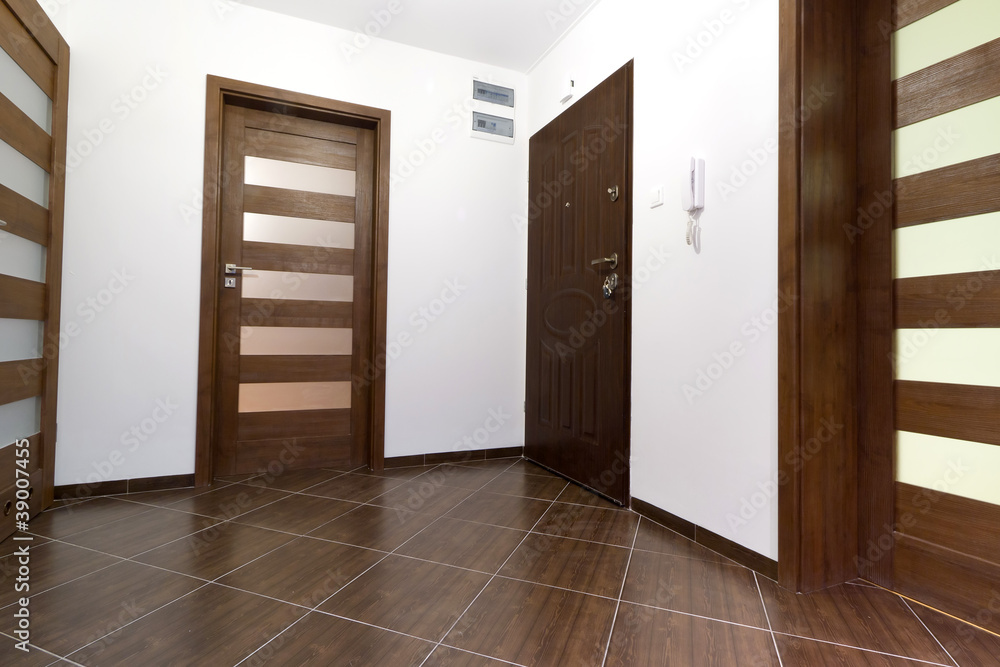Hall of modern apartment interior Hall of modern apartment interior