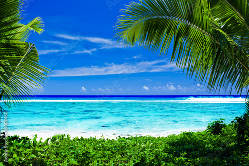 Fototapeta Naklejka Na Ścianę i Meble -  Deserted tropical beach framed by palm trees