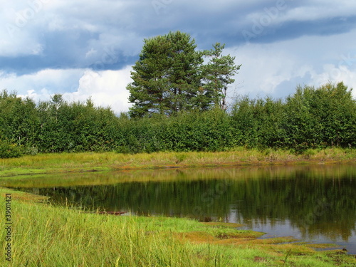 Wood valley of the river Kem, the Karelian margin