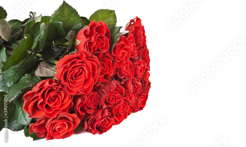 bunch of roses isolated on the white background