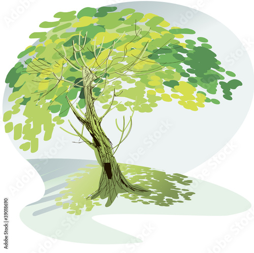A large green tree