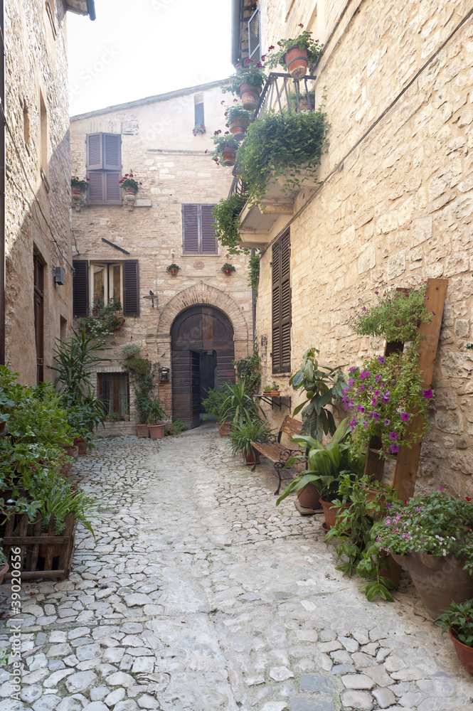 Fototapeta premium Spello, stara ulica