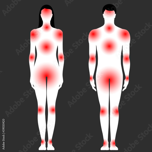 human body