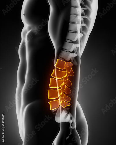 Lumbar spine anatomy lateral view photo