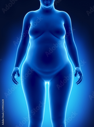 Fat woman anterior view