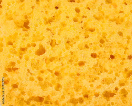 sponge background
