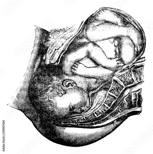 Delivery of the head, vintage engraving.