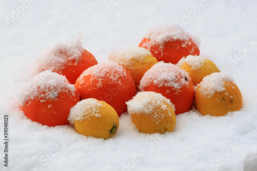 Fototapeta Naklejka Na Ścianę i Meble -  winter fruits