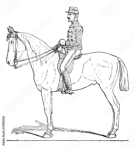 Position of the Cavalier, vintage engraving.