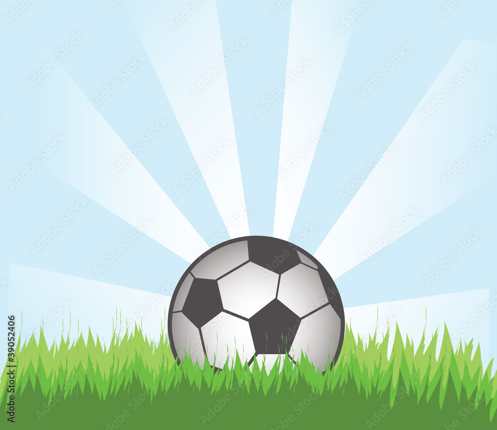 Fototapeta premium Soccer Ball