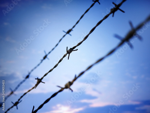 barbed wire against evening sky