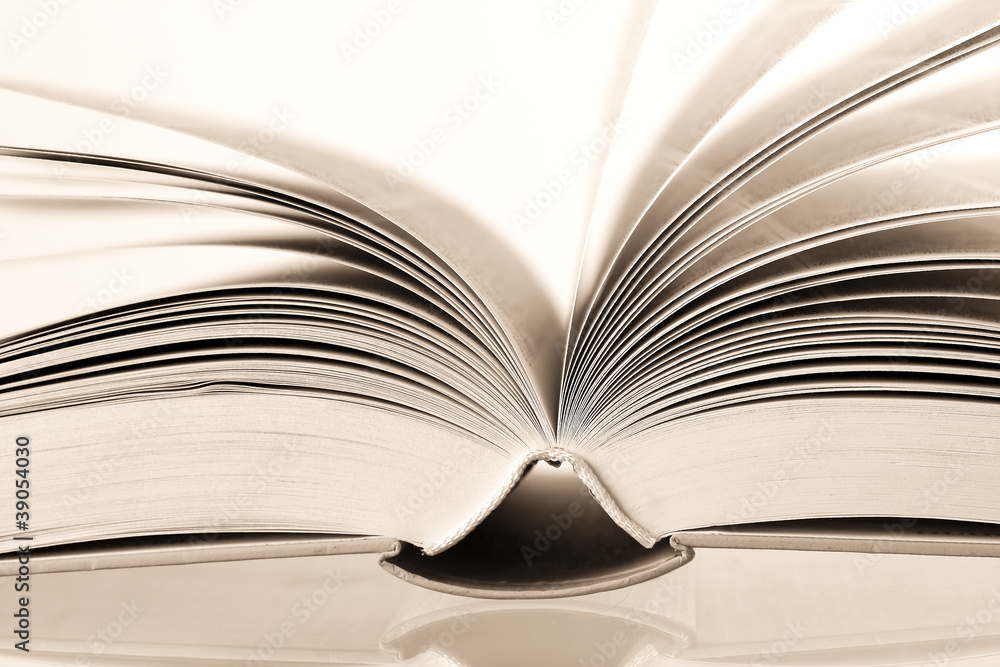 Fototapeta premium offenes Buch