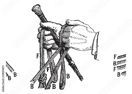 Reins, vintage engraving.