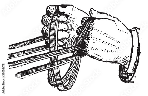 Reins, vintage engraving.