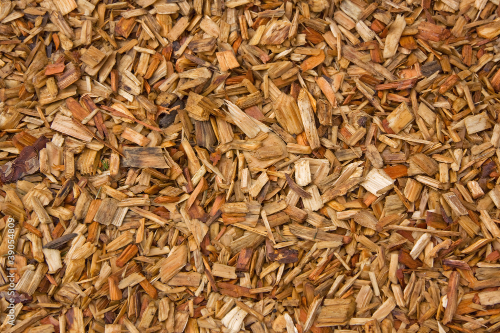 Natural Carpet of Wood Chips Natural Carpet of Wood Chips