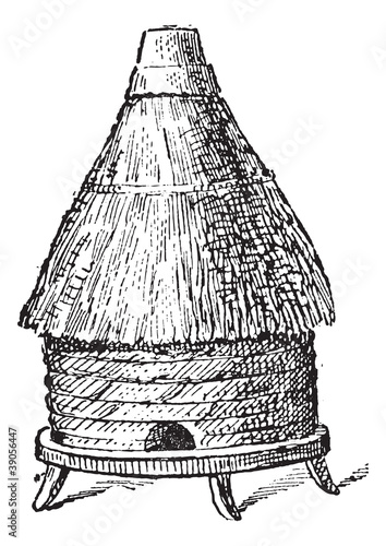 Common hive, vintage engraving.
