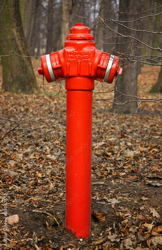 Close-up red fire hydrant in a park of Warsaw, Poland Close-up red fire hydrant in a park of Warsaw, Poland