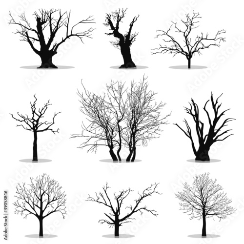 Collection of trees silhouettes