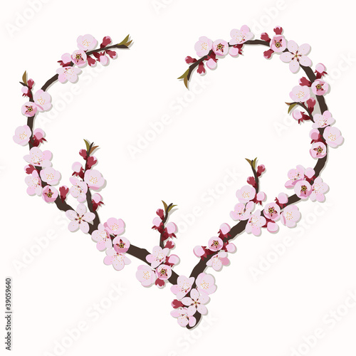 Branch of apricot flowers in the shape of heart