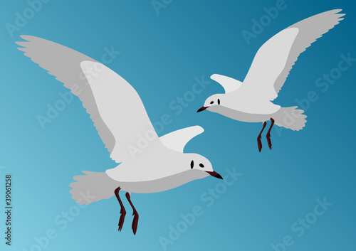 Möwe