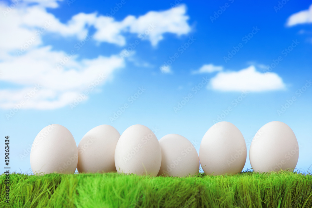 white eggs on green grass with blue sky white eggs on green grass with blue sky