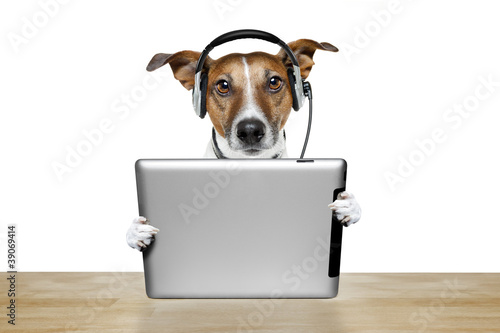 dog with headset and tablet pc © Javier brosch