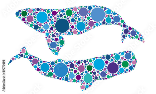 whale