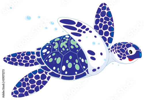 Marine turtle