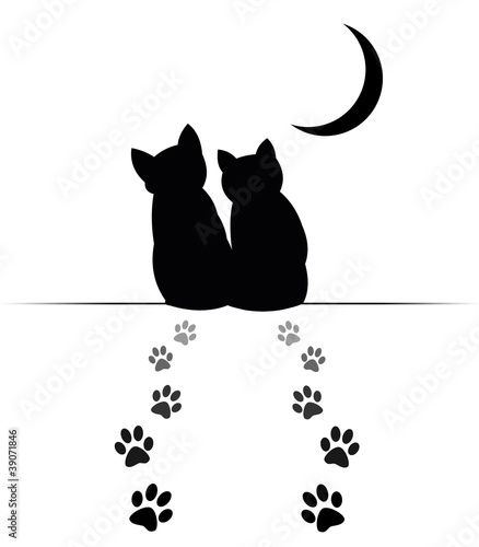 Katzen