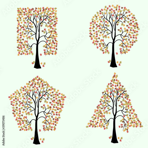Trees of different geometric shapes.