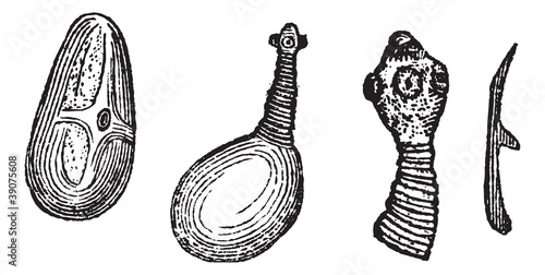 Pork Tapeworm or Taenia solium, vintage engraving