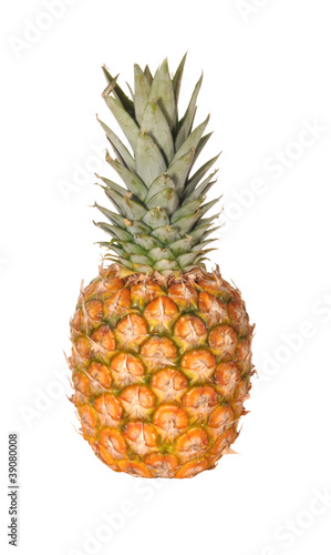 Pineapple a fruit