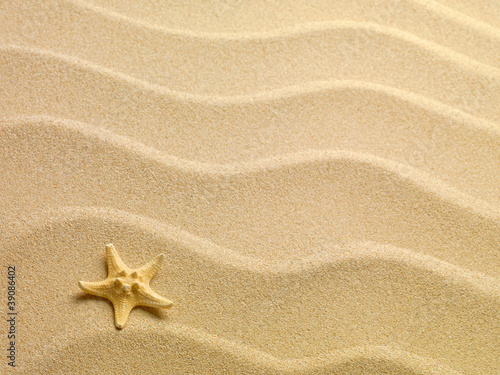 starfish with sand as background