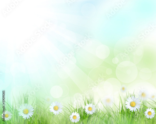Beautiful spring background