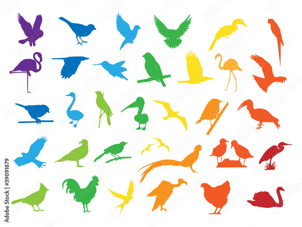 Naklejka premium 0603 Colorful Bird Silhouettes