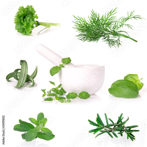 herbs collection over white