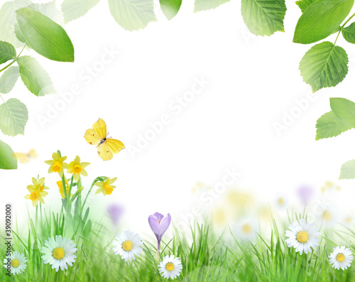 Beautiful spring background