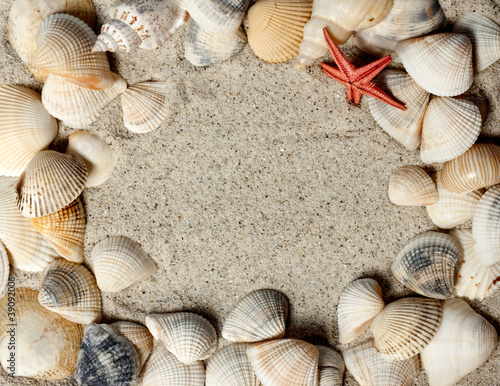 Holiday concept, seashell frame with copy space © Melinda Nagy