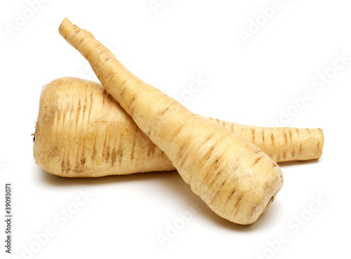 two fresh parsnip roots on a white background photo