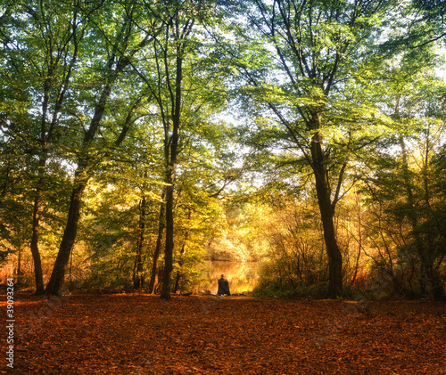 Fishing in the Forest