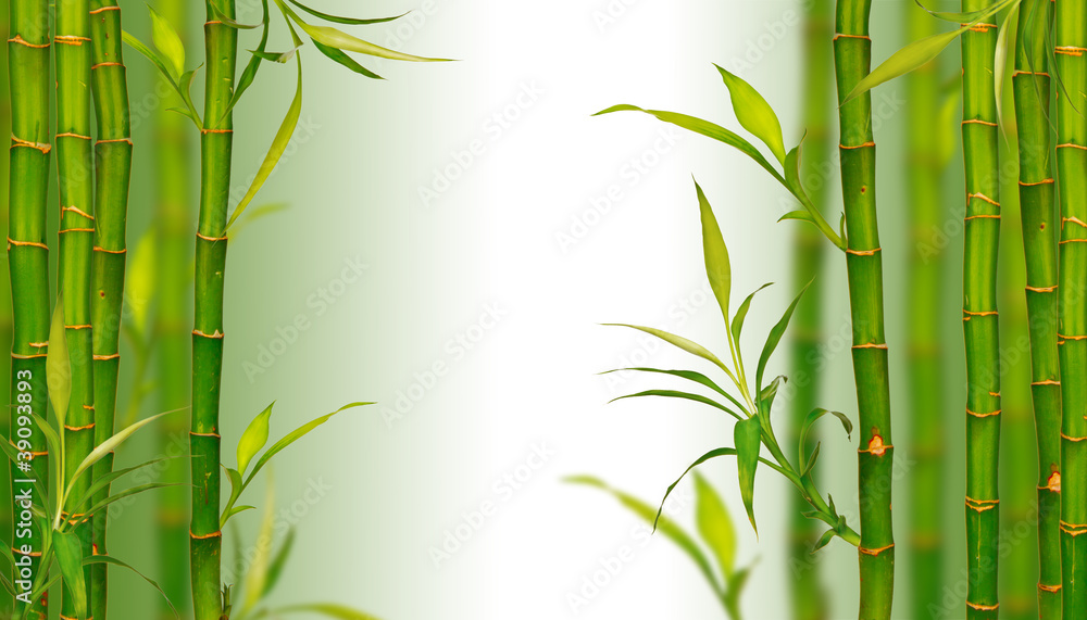 Naklejka premium Bamboo spa background