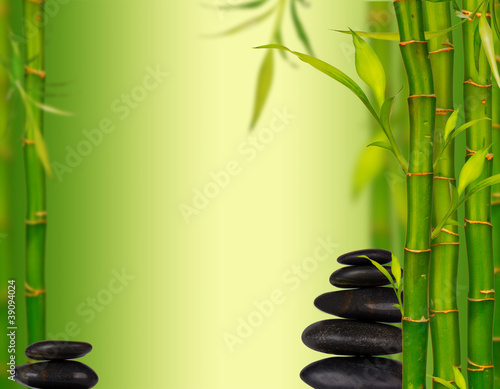 Bamboo spa background
