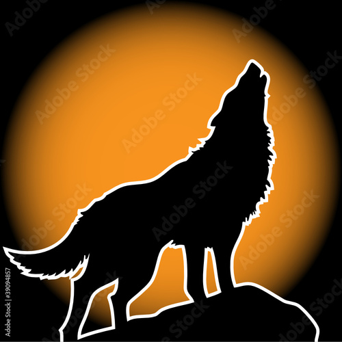 lonely wolf howling on the full moon