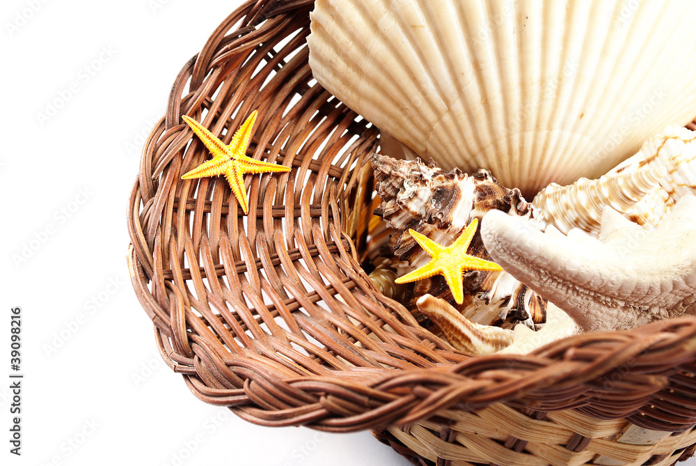 Basket with seashells.