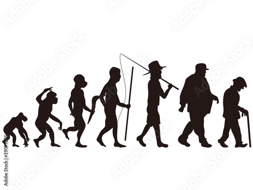 human evolution