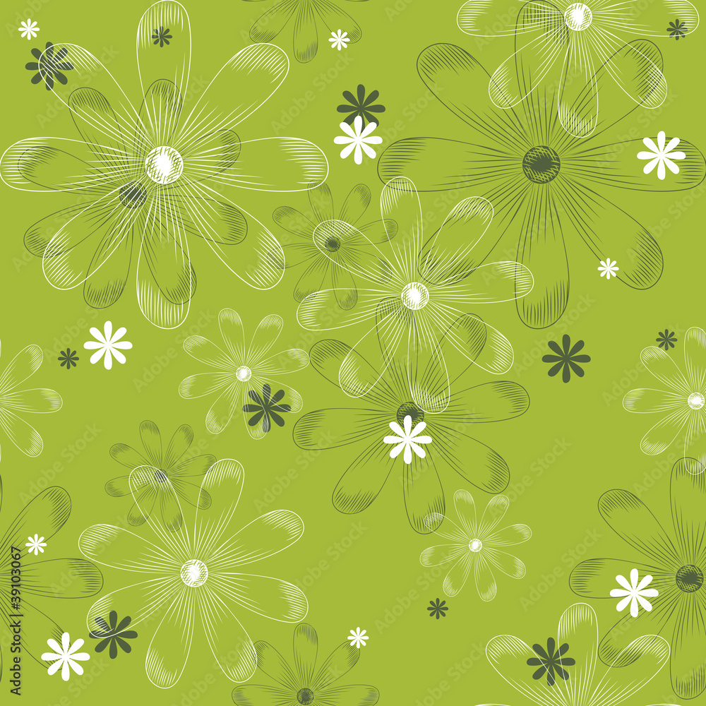 Pattern of daisies Pattern of daisies
