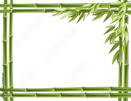 Bamboo frame. Vector background
