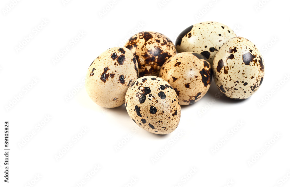 eggs